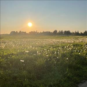 Битмейкер toshaaa